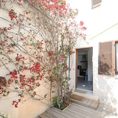 Apartment Les Oliviers Nice